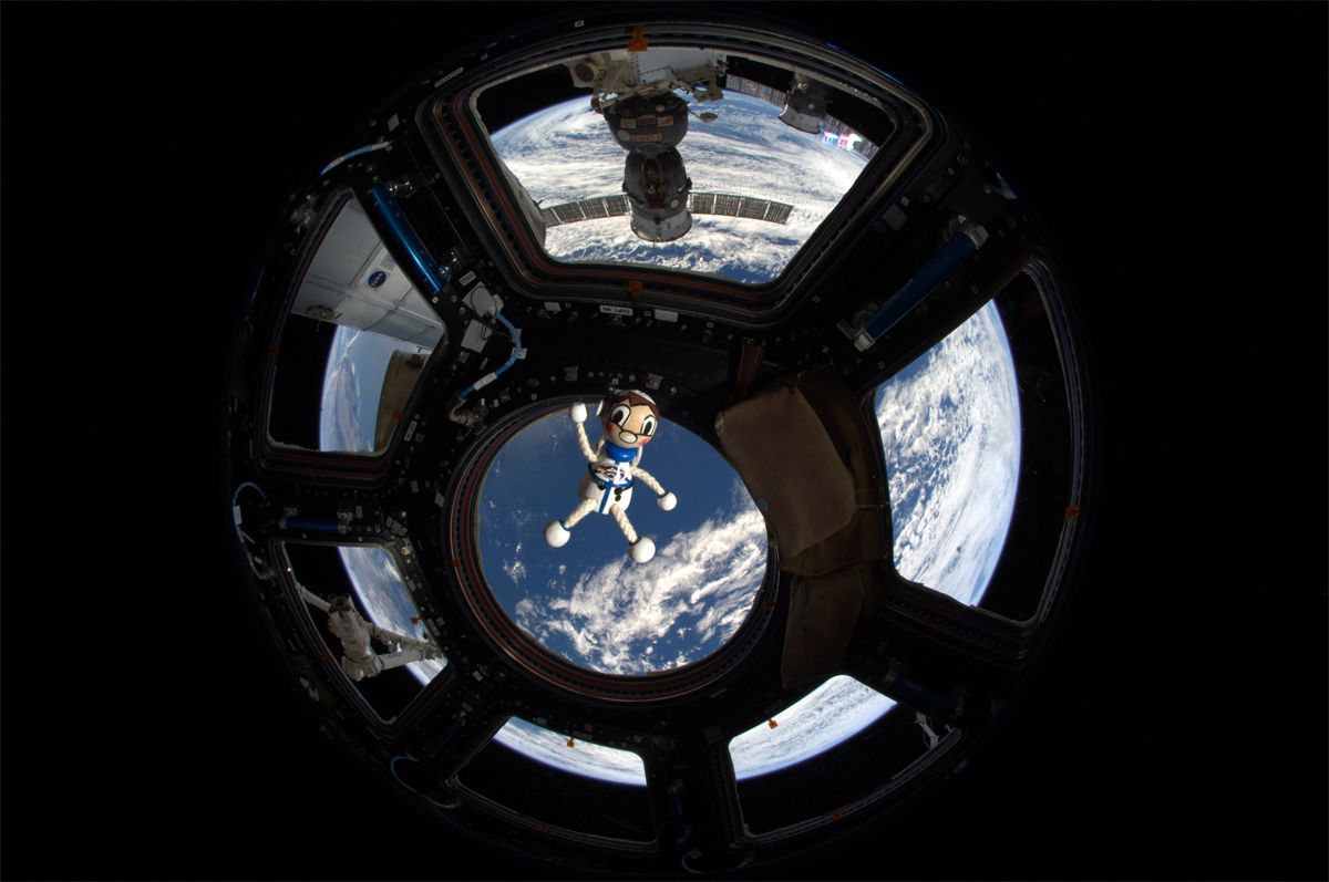 DRA - Bild Maskottchen All-Bert in der Cupola der ISS