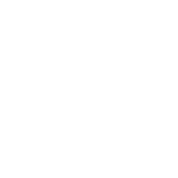 Icon Raumstation